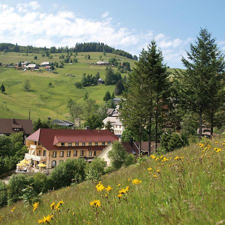 Gruener Baum Naturparkhotel & Schwarzwald-Restaurant Todtnau Bagian luar foto