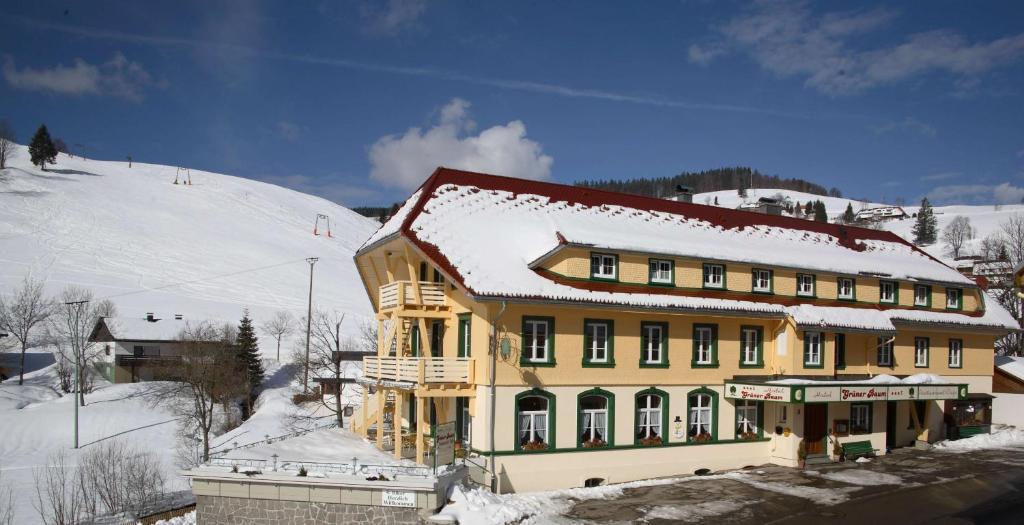 Gruener Baum Naturparkhotel & Schwarzwald-Restaurant Todtnau Bagian luar foto